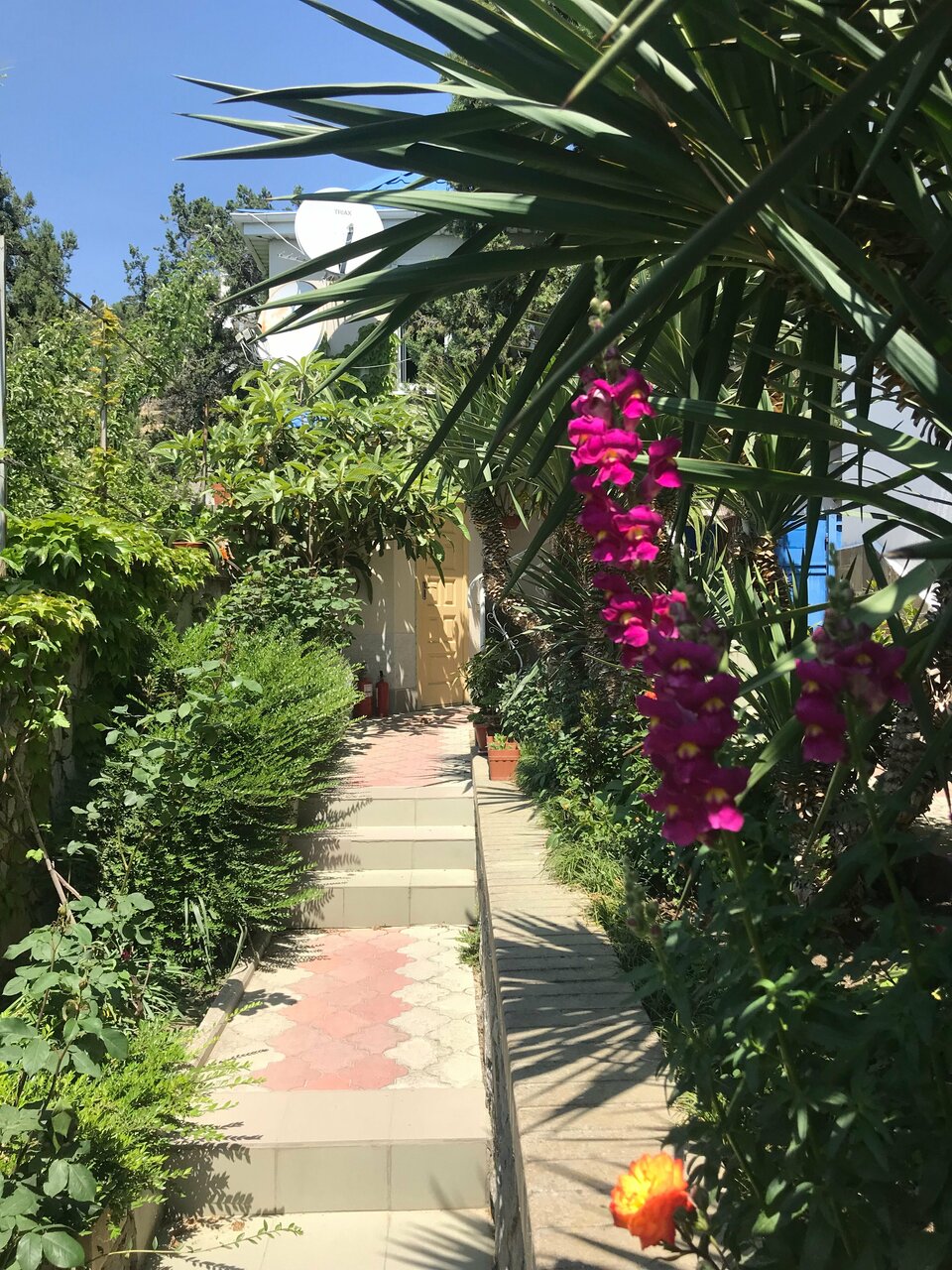 Гостевой дом АнНи Гаспра-51