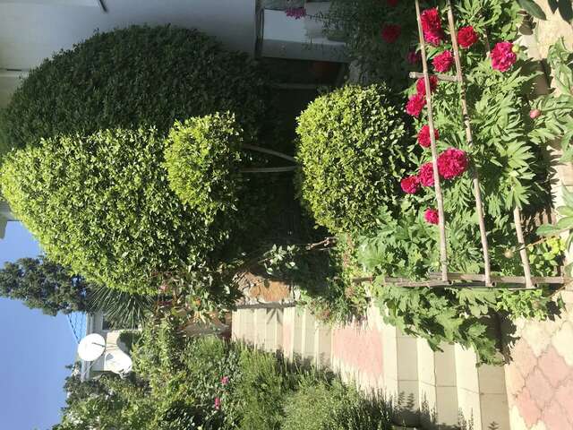 Гостевой дом АнНи Гаспра-40