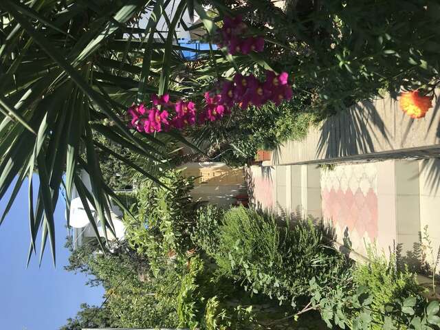 Гостевой дом АнНи Гаспра-87