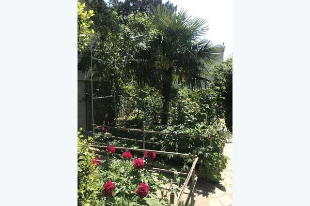 Гостевой дом АнНи Гаспра-208